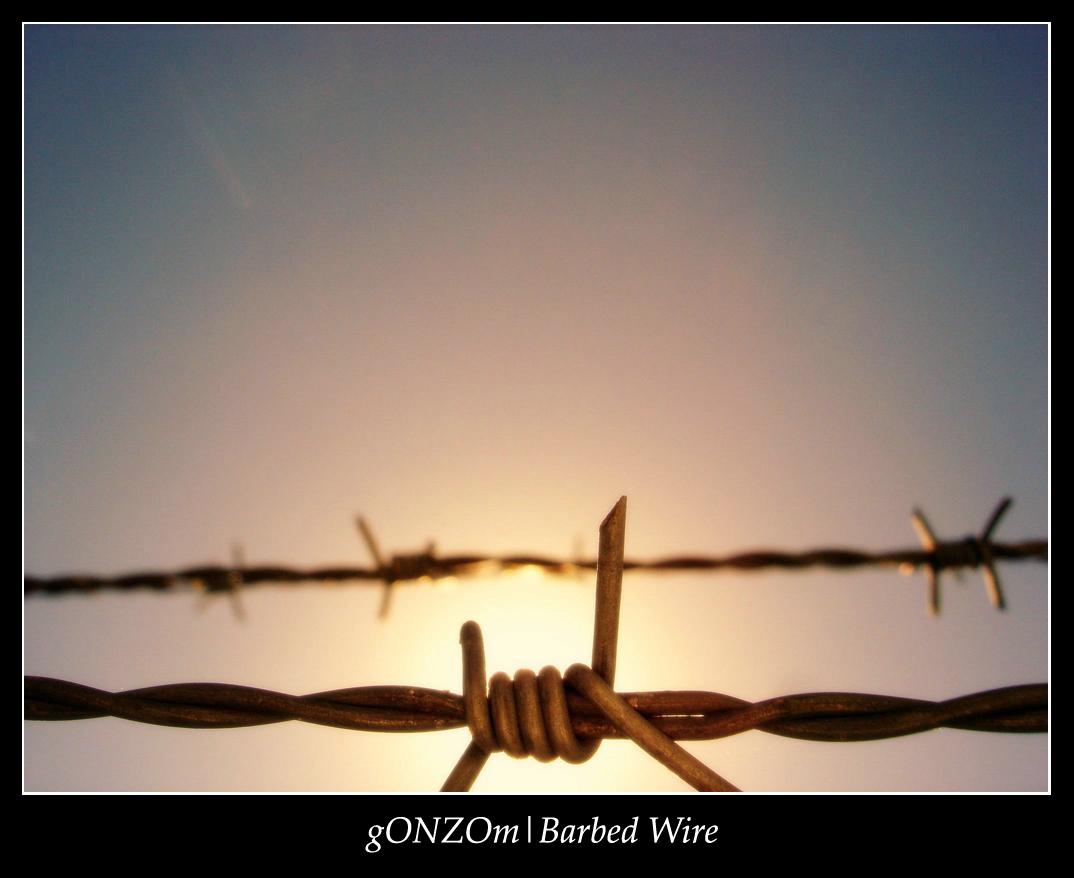 Barbed Wire