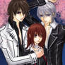 Vampire Knight - Under Sakura