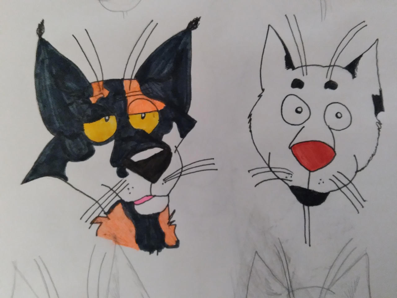 Blackstar And Sol By SneakingShashi On DeviantArt blackstar-and-sol-by-sneakingshashi-on-deviantart