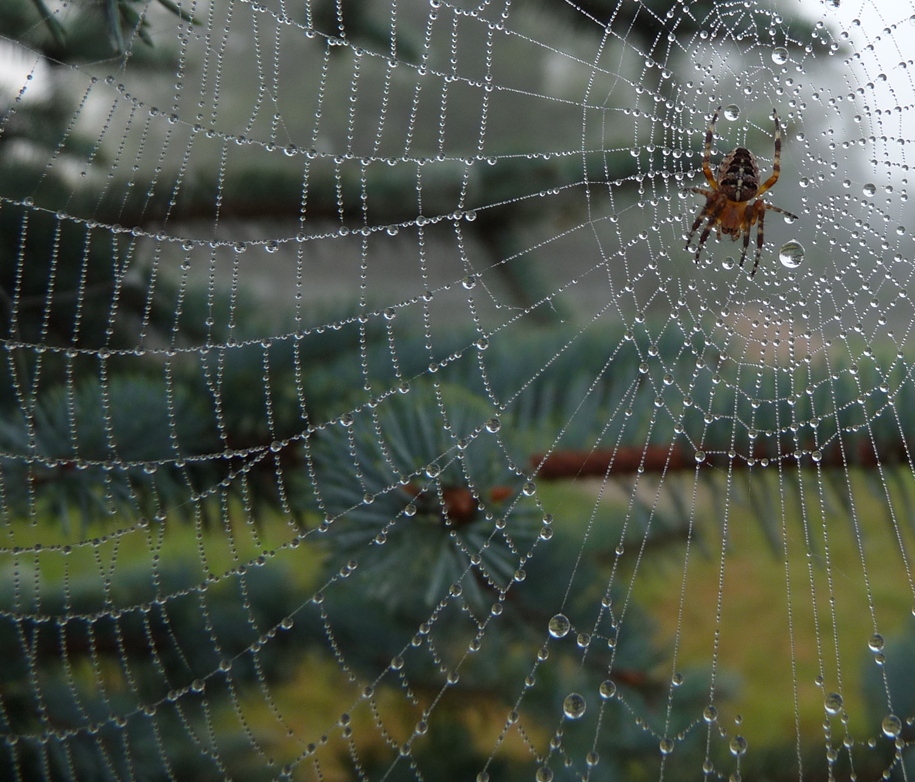 beading