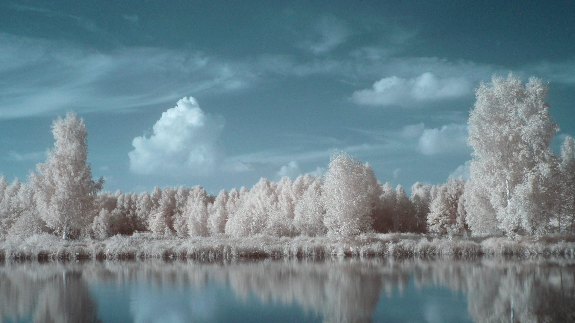 IR landscape 8