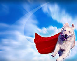 Krypto