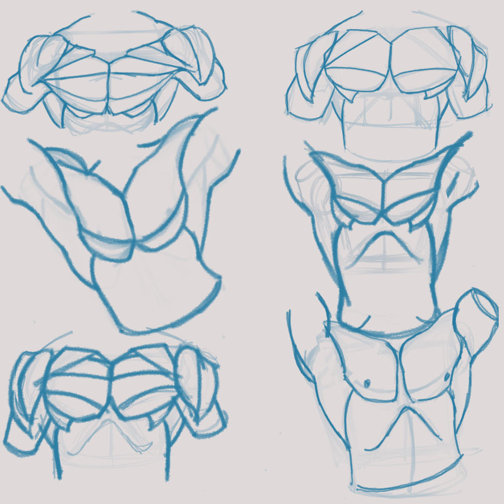 Pecs practice #3 by MadamCeruleanDragon on DeviantArt
