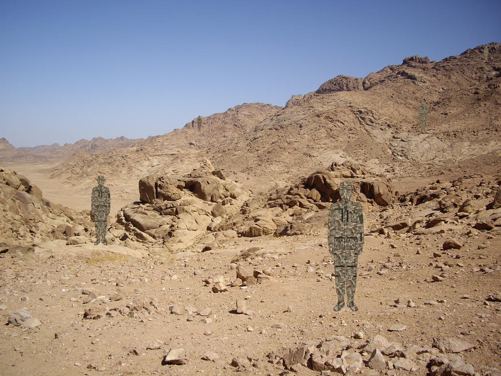 Multiple Terrain Camo Photosim in Desert Environ