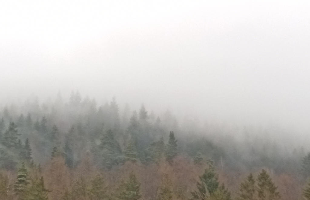 Mistle Weather Misty Weather II by EkelAdolf on DeviantArt