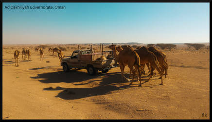 Road Trip, Oman