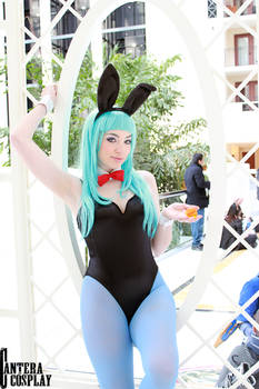 Bunny Bulma