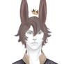 The King Bunny