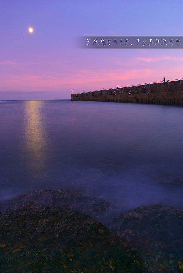 Moonlit Harbour