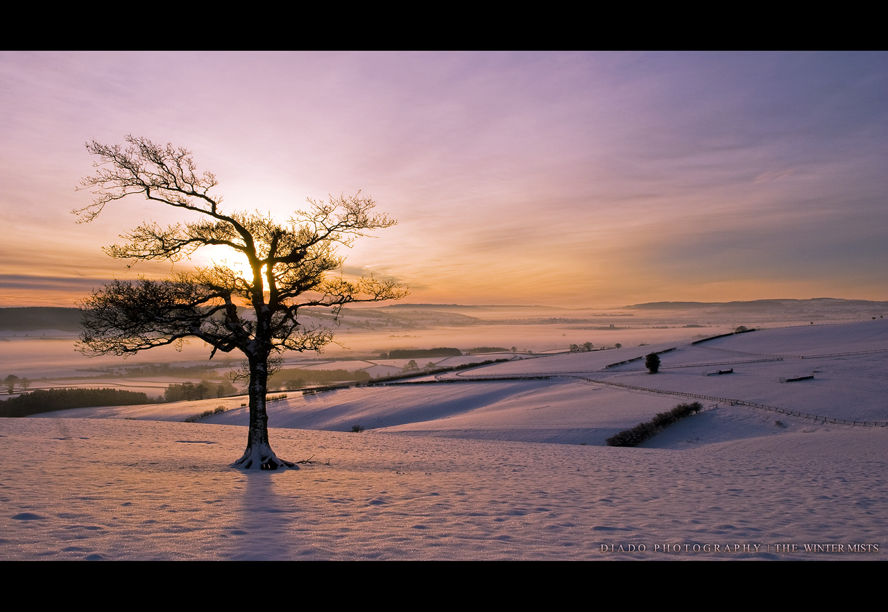 The Winter Mists