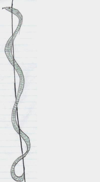 Winding Snake by Chowder017 on DeviantArt