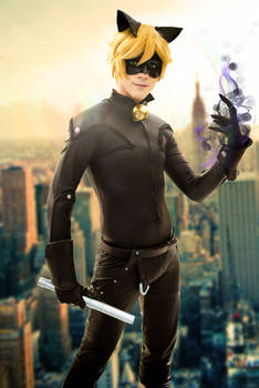 Chat Noir (Cosplay) - Miraculous Ladybug