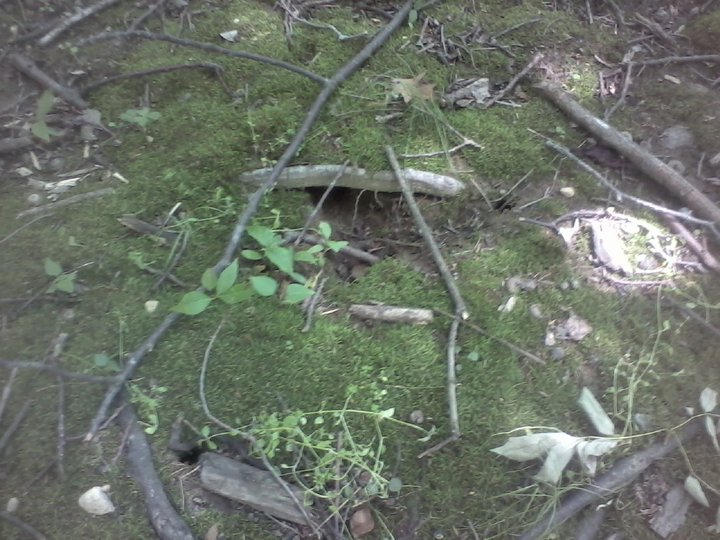 Fairy Home