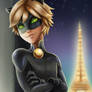 Chat Noir