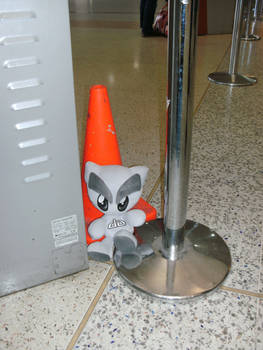 Fella finds traffic cone