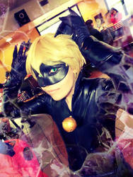 Crosplay ChatNoir