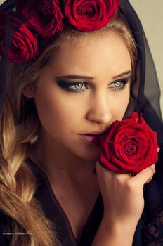 red rose