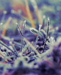 rainbow frost by likeubetterdead