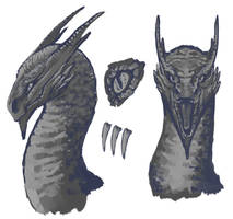 Stone Dragon Headshots