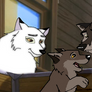 Balto family