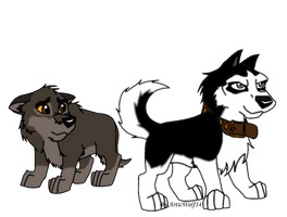 Balto and Steele as pups!