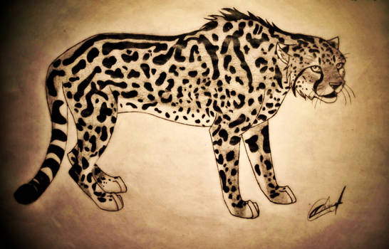 King Cheetah