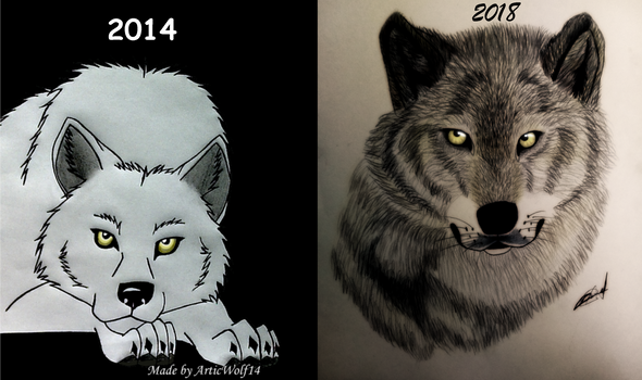 Wolf Drawing - Comparison