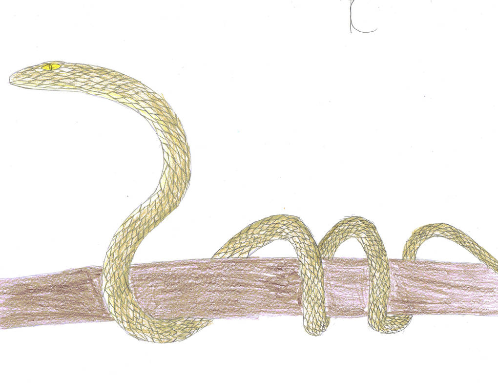 Deviantart Snake Crystal Crystal Snake by Folklore13 on DeviantArt