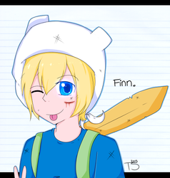 Finn the human