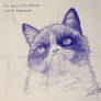 Grumpy Cat Fan Art