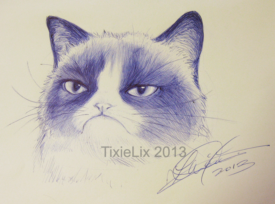 Still sketchy, still grumpy... by TixieLix