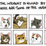 The Internet is ruled by cats...