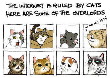 The Internet is ruled by cats...