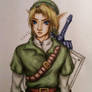 Adult Link from Loz: Ocarina of time