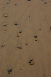 Rocks And Sand