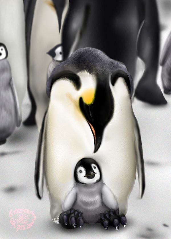 Penguins by CrimsonskyR on DeviantArt