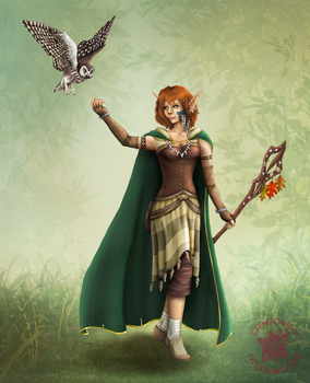 DnD: Elf Druid Gwileth