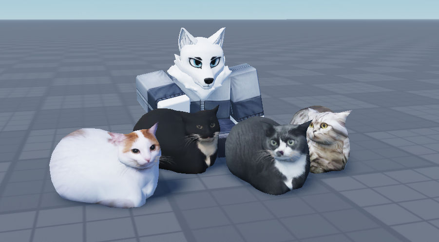 Maxwell The Cat Maxwell The Cat Etsy New Zealand