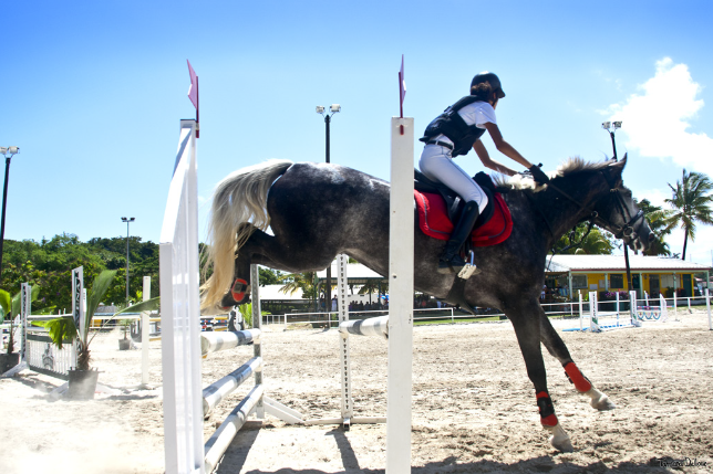 Jumping Competition (Derby)