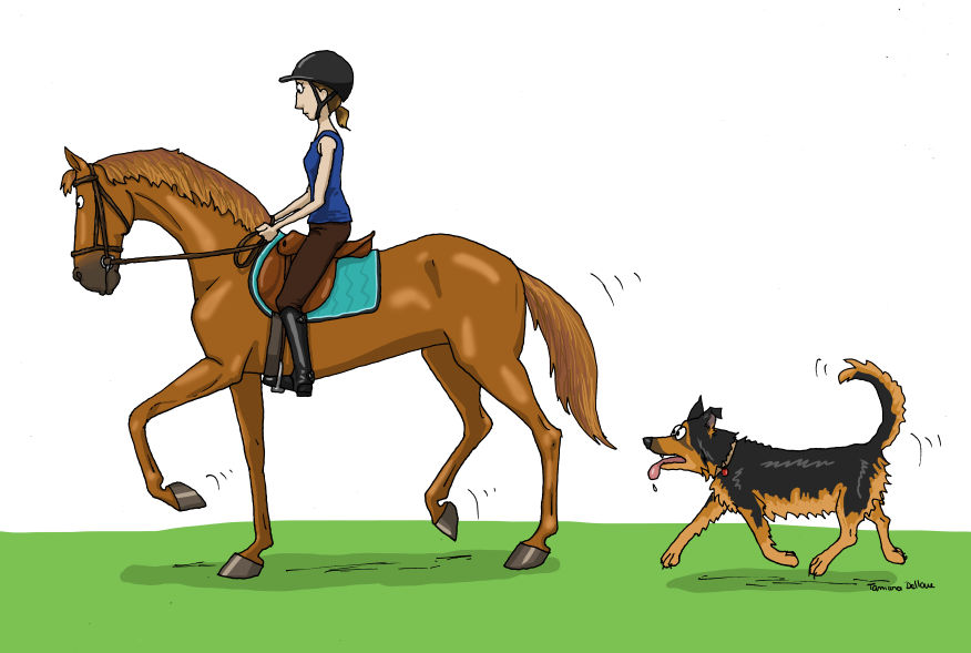 Write Riders Dog Horse Riding with Dog by Tamara971 on DeviantArt
