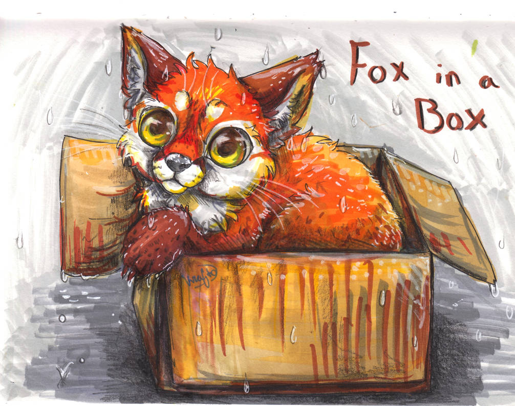 Square Box Fox fox in a box by KraftoFox on DeviantArt