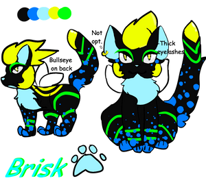 Brisk ref