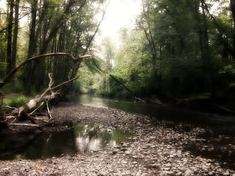 Rivulet Background by Fennec-Equus on DeviantArt