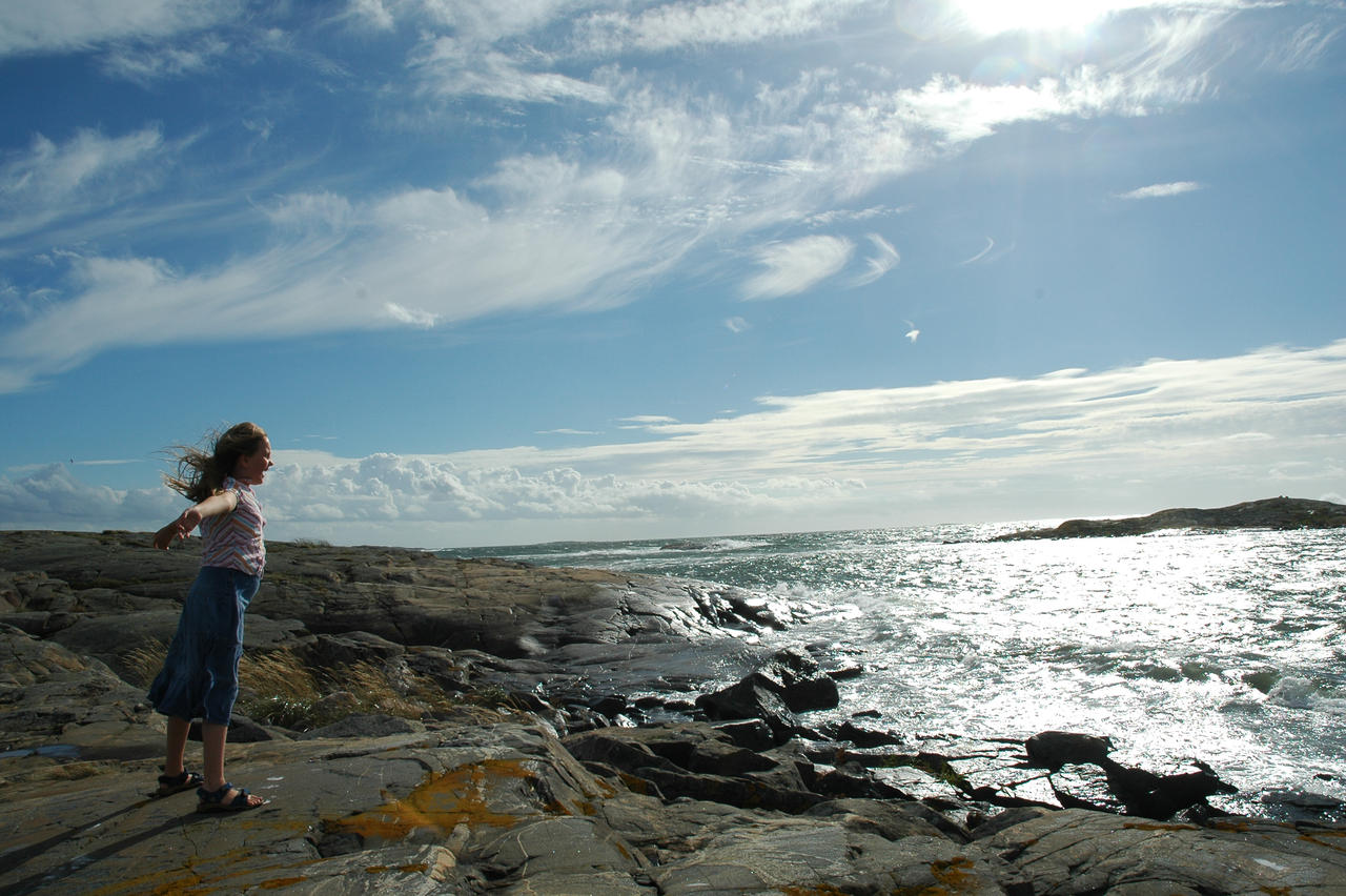 Roedskaer, Sweden