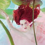 Water Lily - The Imaginarium Underwater
