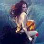 No Love Lost - Underwater Series I