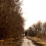 Flooding - Getting to the Bridge