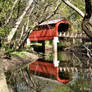 19th Century Bridge V