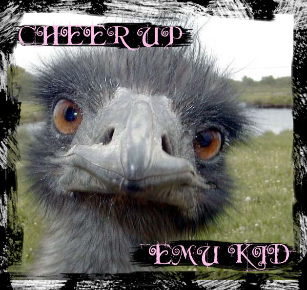.:Cheer Up Emu Kid:. by JackStuff on DeviantArt