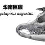 Megatapirus augustus